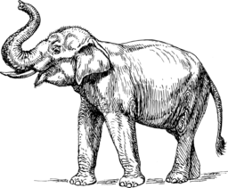  | Free PNG Image