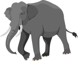 Stunning Elephant Images with Transparent Background: Free Downloadable PNG Vectors for Graphic Design