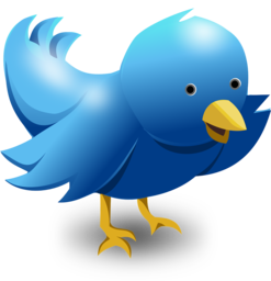 Cute and Creative Twitter Bird PNG Images with Transparent Background for Free Download