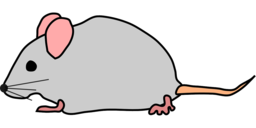 Cute and Adorable Mice, Mouse, and Rat PNG Images with Transparent Background for Free Download and Graphic Design