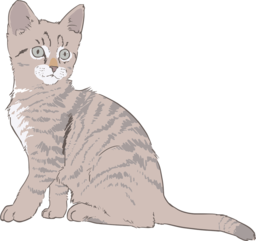 Cute Kitten and Cat Drawings in Vector Format: Free Downloads with Transparent Backgrounds