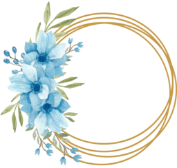 Stunning Floral Frames with Transparent Background - Free Download PNG Images for Your Graphic Designs