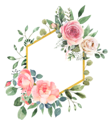 Creative Valentine's Day Frames: Free PNG Images with Transparent Background and Vector Design