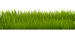Beautiful Grass Border PNG Images with Transparent Background - Download for Free!