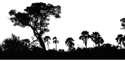 Stunning Nature Landscape Silhouette PNG Images with Transparent Background for Graphic Design