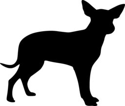 High-Quality Dog and Puppy PNG Images with Transparent Background - Perfect for Graphics, Banners, and Advertising