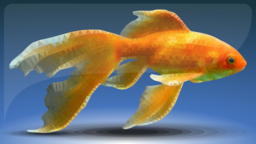 Grab Free Stunning Fish PNG Images with Transparent Background for Graphics and Marketing