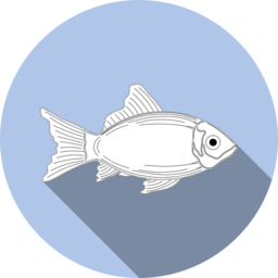 Top Quality Fish PNG Images - Download for Free with Transparent Background