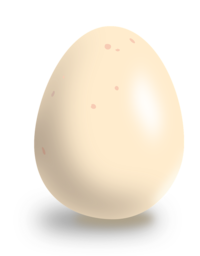 Get Cracking: Free Downloadable Egg PNG Images with Transparent Backgrounds for Your Graphic Design Needs