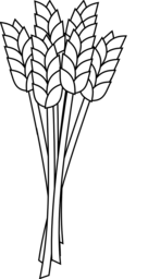 High-Quality Wheat and Grain Images with Transparent Backgrounds for Graphic Design and Advertising!