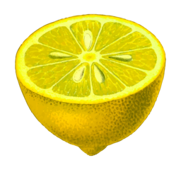 Juicy Citrus Delights: Free and Transparent PNG Images for Graphic Designs and Advertising