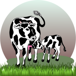 Cow and Calf PNG Images with Transparent Background: Free Vector Downloads for Graphic Design and Advertising
