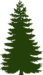 Explore Our Collection of Stunning Pine Tree PNG Images with Transparent Backgrounds - Perfect for Your Christmas Graphics and Designs!