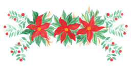 Get Festive with Free Christmas Flower PNGs - Download Now!