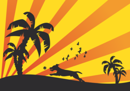 Stunning PNG Dog Images with Transparent Background for Your Summer Graphic Design Projects