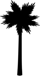  | Free PNG Image