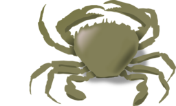  | Free PNG Image
