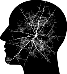 Free Vector Images of Human Brain with Transparent Background for Graphic Design and Advertising