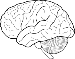  | Free PNG Image