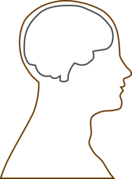 Explore the Fascinating World of Brain Science with Free PNG Images and Vectors with Transparent Backgrounds!