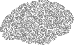 | Free PNG Image
