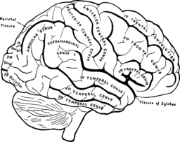  | Free PNG Image