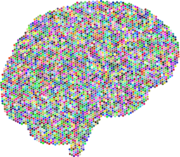 Download Free Brain PNG Images with Transparent Background for Graphic Design and Advertising
