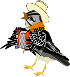 Birds of a Feather: Free Transparent Sparrow PNG Images for Graphic Designers and Advertising
