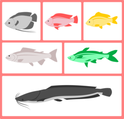 Explore High-Quality PNG Images of Freshwater Fish in Transparent Backgrounds for Graphic Designers and Advertising