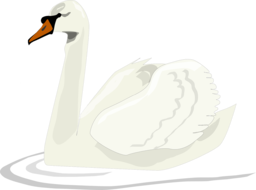 Stunning Swan PNG Images with Transparent Background - Free Download for Graphic Design and Advertising!