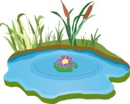 Stunning Pond and Water Vectors with Transparent Backgrounds: Get Them for Free!
