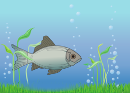Explore High-Quality Fish and Water Images with Transparent Background - Free Download PNGs!