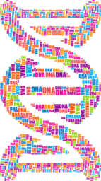 Discover the Beauty of DNA Typography: Free PNG Images with Transparent Background