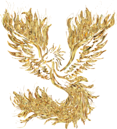 Discover Stunningly Vibrant Phoenix Images in Transparent PNG Formats for Your Graphic Designs