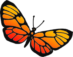 Unleash Your Creativity with Free PNG Butterfly Images: Perfect for Web Design, Advertising, and More!