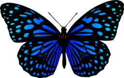 Attractive Butterfly PNG Images with Transparent Backgrounds - Ideal for Graphic Design and Advertising Projects!