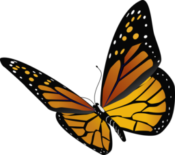 Vibrant and Versatile Collection of Free PNG Images for Graphic Design, Web Design, and More!