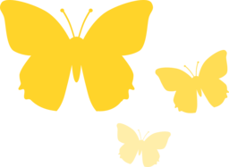 Stunning Butterfly PNG Images with Transparent Background for Creative Designers and Marketers