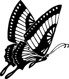 Stunning Butterfly PNG Images with Transparent Backgrounds: Ideal for Graphics, Banners, Advertising, and More!