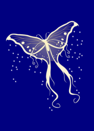 Vibrant Butterfly and Moth PNG Images with Transparent Backgrounds for Stunning Visual Design