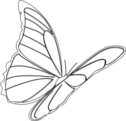 Stunning Butterfly PNG Images with Transparent Background for Design and Inspiration