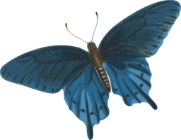 Discover Stunning Butterfly Images in PNG Format for free Download and Design Inspiration