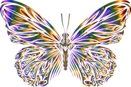  | Free PNG Image