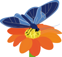 Discover Stunning Butterfly and Flower PNG Images with Transparent Backgrounds for Your Creative Designs