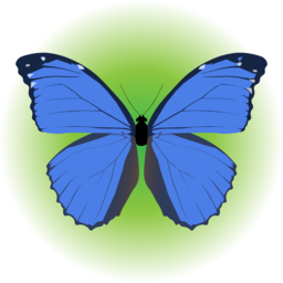 Morpho Butterfly PNG Images: Perfect For Graphic Design, Web Design & Creative Projects