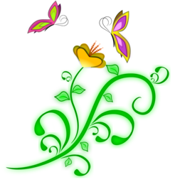 Stunning Flower and Butterfly PNG Images with Transparent Backgrounds for Graphic Design and Creative Projects - Free Download