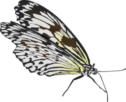  | Free PNG Image
