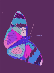 Beautiful Butterfly and Bug PNG Images with Transparent Backgrounds - Free Downloads for Graphic Design and Advertising