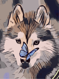 Free and Versatile PNG Images of Butterflies and Huskies for All Your Creative Needs