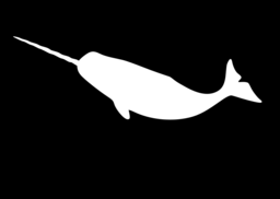 Narwhal Aquatic Unicorn PNG Images: Free Downloads with Transparent Backgrounds for Graphic Design and Advertising